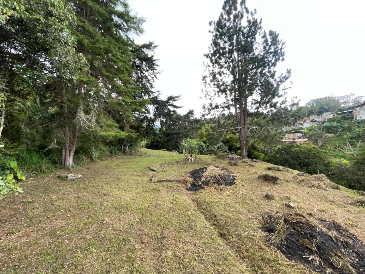 SE VENDE FINCA - VILLA GLORIA - DAGUA — foto 5