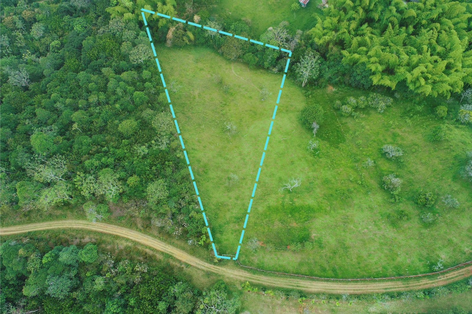 se vende lote en la voragine pance para casa campestre — foto 3