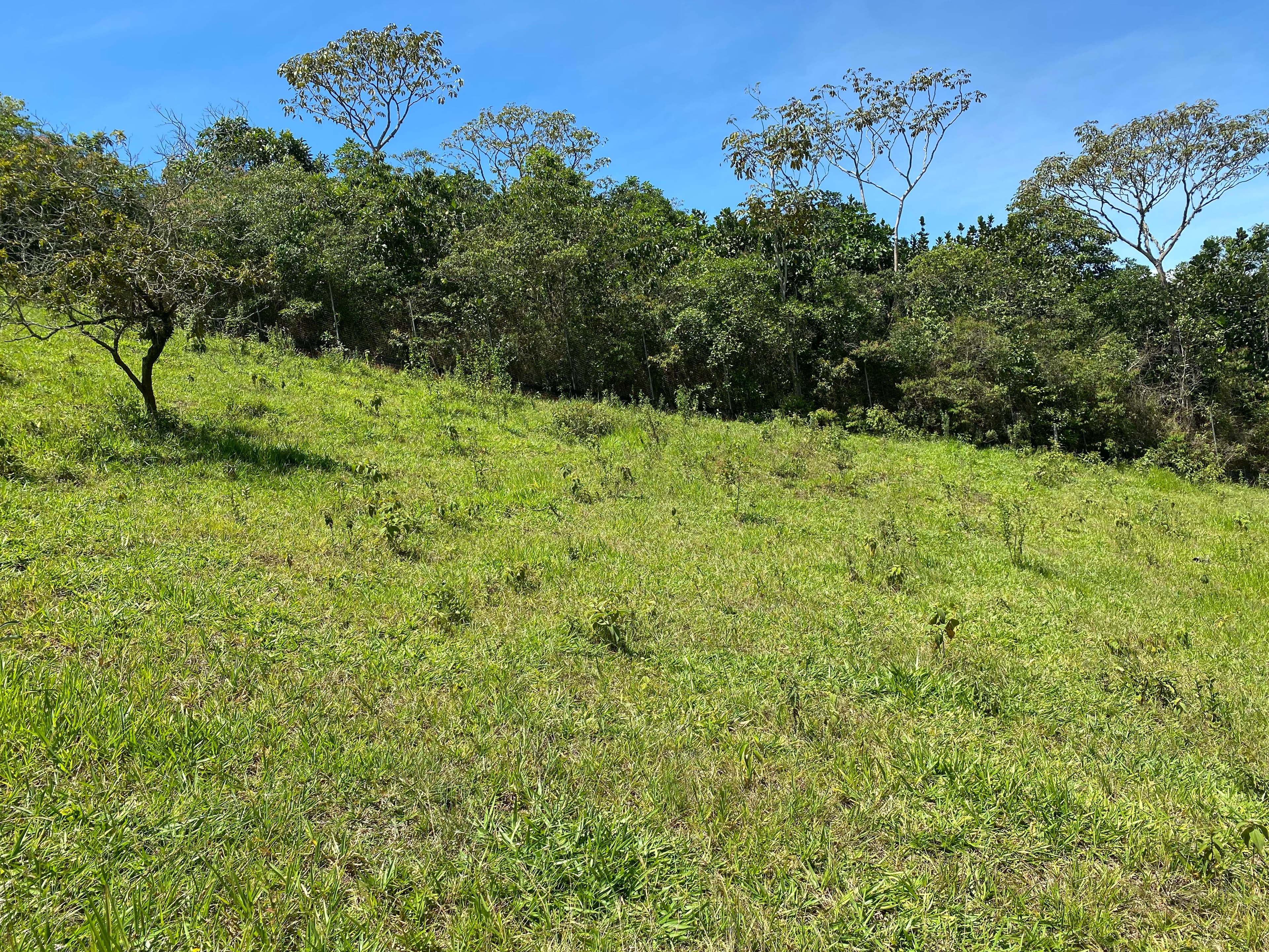 se vende lote en la voragine pance para casa campestre — foto 7