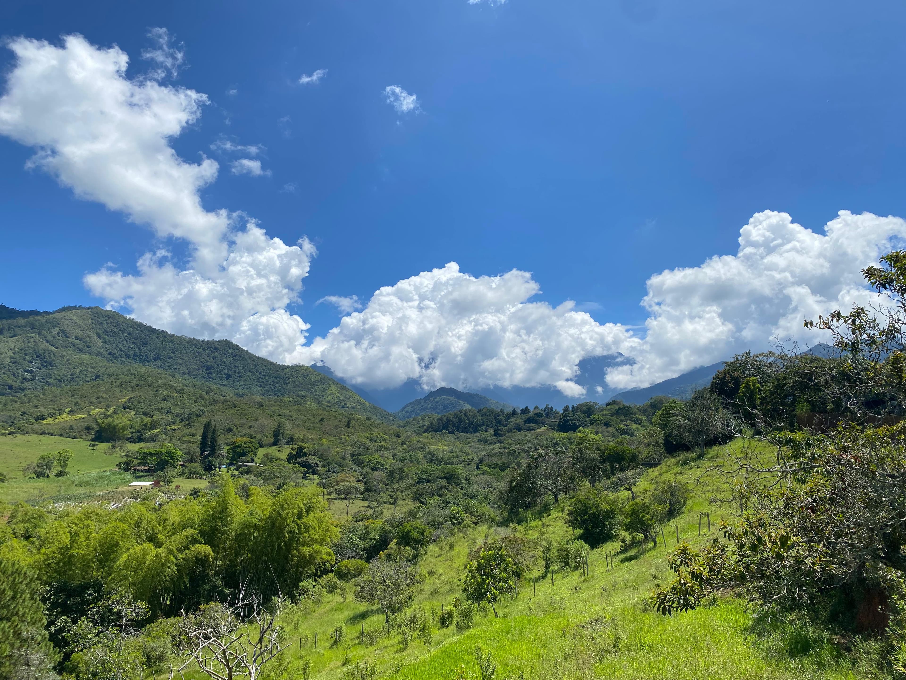 se vende lote en la voragine pance para casa campestre — foto 10