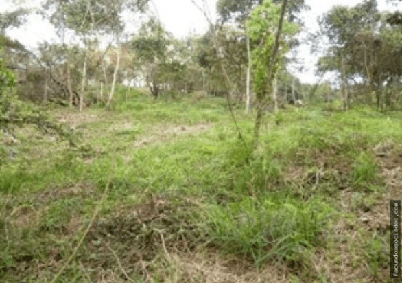 Se Vende Lote/terreno Residencial Via Cristo Rey 9.285m2 — foto 6
